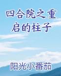 四合院之重启的柱子