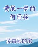 黄粱一梦的何雨柱