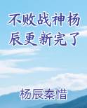 不败战神杨辰更新完了